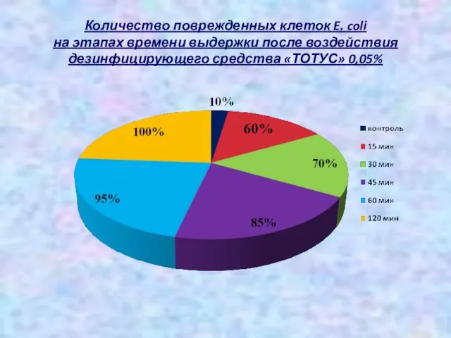 Количество поврежденных клеток E. coli на этапах времени выдержки после воздействия дезинфицирующего средства «ТОТУС» 0,05%