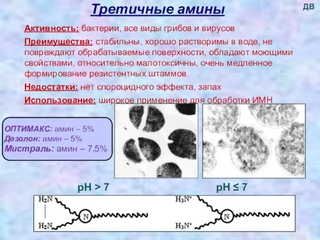 Третичные амины Активность: бактерии, все виды грибов и вирусов Преимущества: стабильны, хорошо