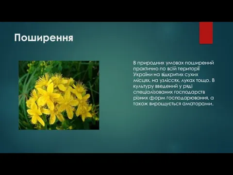 Поширення В природних умовах поширений практично по всій території України на відкритих