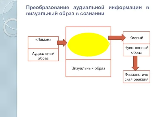 Преобразование аудиальной информации в визуальный образ в сознании «Лимон» Аудиальный образ Визуальный