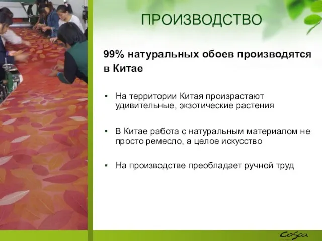 99% натуральных обоев производятся в Китае На территории Китая произрастают удивительные, экзотические