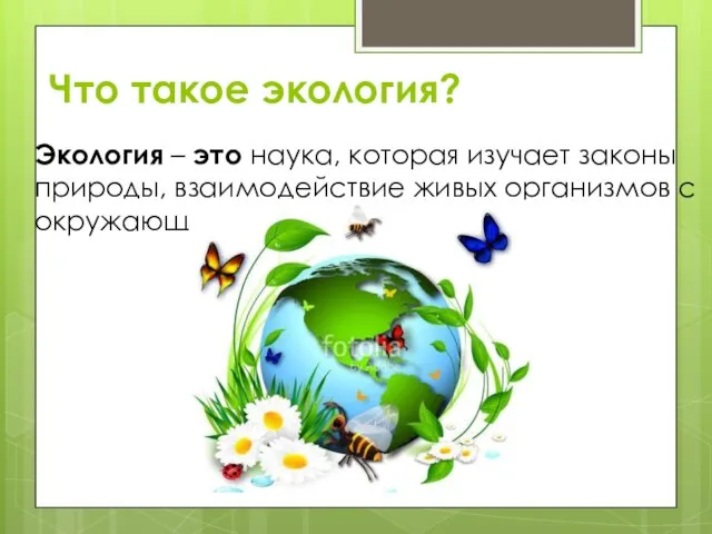 Что такое экология? Экология – это наука, которая изучает законы природы, взаимодействие