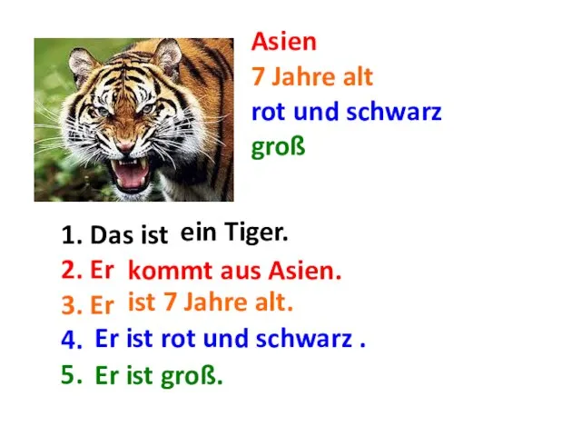 Asien 7 Jahre alt rot und schwarz groß 1. Das ist ...