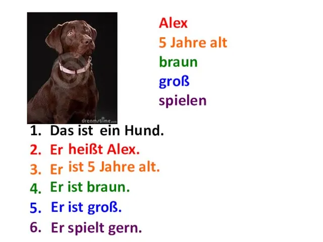 Alex 5 Jahre alt braun groß spielen Das ist ... Er ...