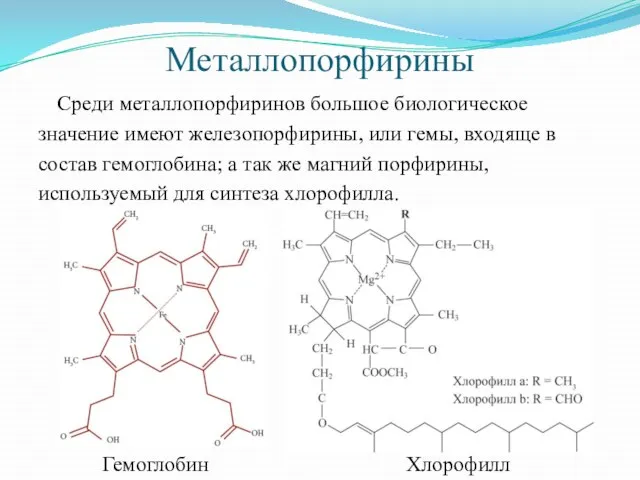 Металлопорфирины Среди металлопорфиринов большое биологическое значение имеют железопорфирины, или гемы, входяще в