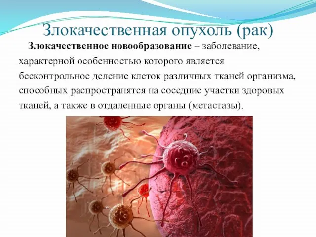 Злокачественная опухоль (рак) Злокачественное новообразование – заболевание, характерной особенностью которого является бесконтрольное