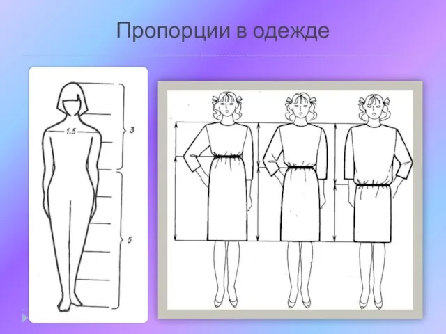 Пропорции в одежде