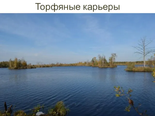 Торфяные карьеры