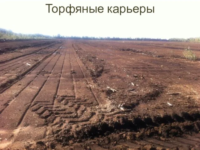 Торфяные карьеры