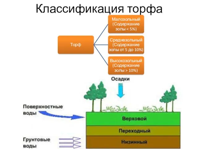 Классификация торфа