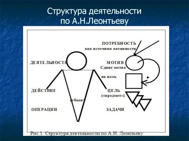 Структура деятельности по А.Н.Леонтьеву