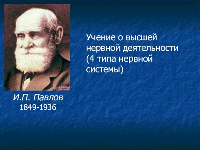 И.П. Павлов 1849-1936 Учение о высшей нервной деятельности (4 типа нервной системы)