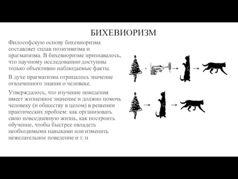 БИХЕВИОРИЗМ Философскую основу бихевиоризма составляет сплав позитивизма и прагматизма. В бихевиоризме признавалось,