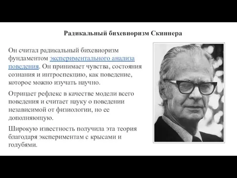 Радикальный бихевиоризм Скиннера Он считал радикальный бихевиоризм фундаментом экспериментального анализа поведения. Он