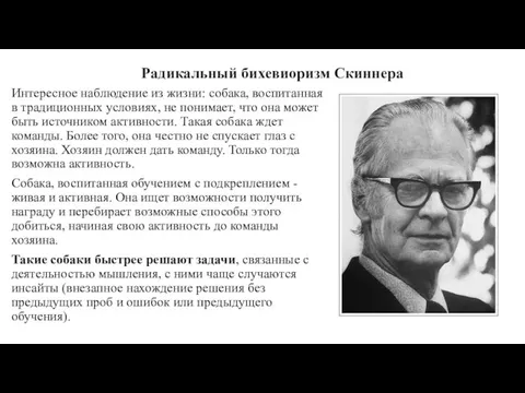 Радикальный бихевиоризм Скиннера Интересное наблюдение из жизни: собака, воспитанная в традиционных условиях,