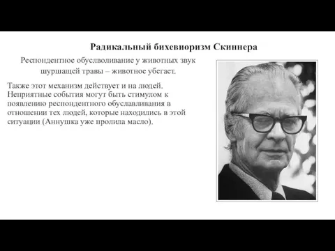 Радикальный бихевиоризм Скиннера Респондентное обуслволивание у животных звук шуршащей травы – животное