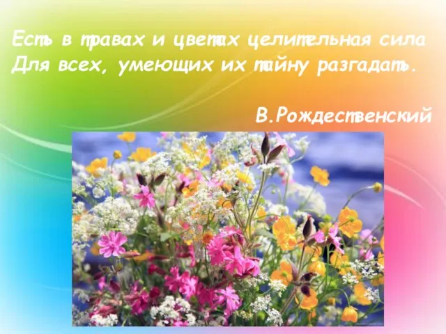 Есть в травах и цветах целительная сила Для всех, умеющих их тайну разгадать. В.Рождественский