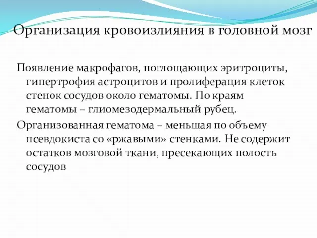 Организация кровоизлияния в головной мозг Появление макрофагов, поглощающих эритроциты, гипертрофия астроцитов и