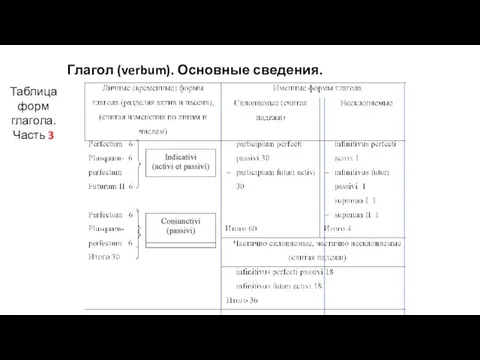 Глагол (verbum). Основные сведения. Таблица форм глагола. Часть 3