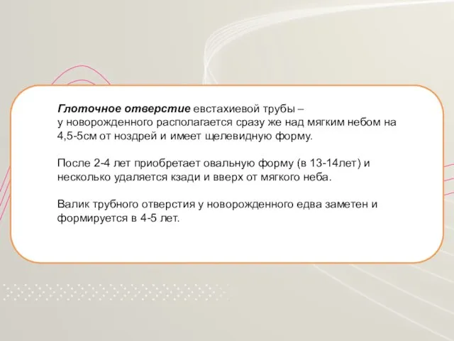 Глоточное отверстие евстахиевой трубы – у новорожденного располагается сразу же над мягким