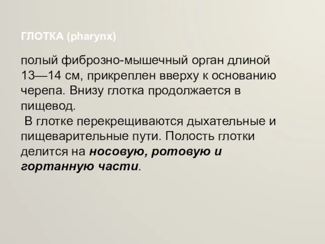 ГЛОТКА (pharynx) полый фиброзно-мышечный орган длиной 13—14 см, прикреплен вверху к основанию