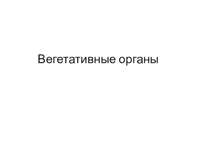 Вегетативные органы