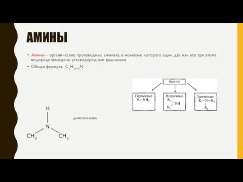 АМИНЫ Амины – органические производные аммиака, в молекуле которого один, два или
