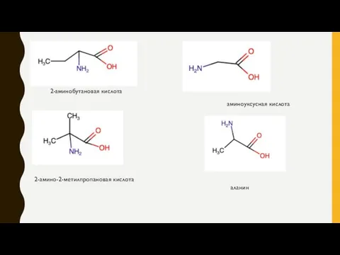 2-аминобутановая кислота 2-амино-2-метилпропановая кислота аминоуксусная кислота аланин
