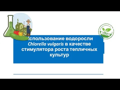 Использование водоросли Chlorella vulgaris в качестве стимулятора роста тепличных культур