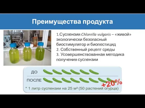 Преимущества продукта 1.Суспензия Chlorella vulgaris – «живой» экологически безопасный биостимулятор и биопестицид