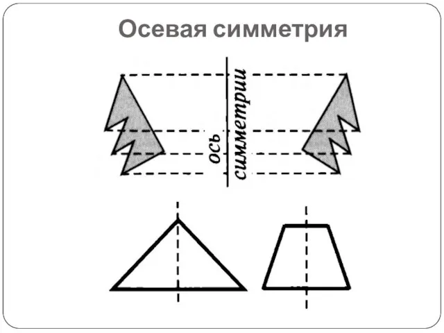 Осевая симметрия