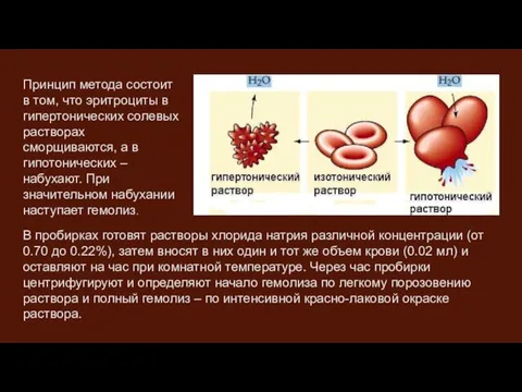 Принцип метода состоит в том, что эритроциты в гипертонических солевых растворах сморщиваются,