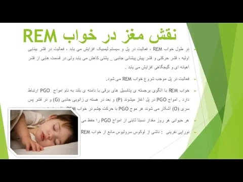 نقش مغز در خواب REM در طول خواب REM ، فعالیت در