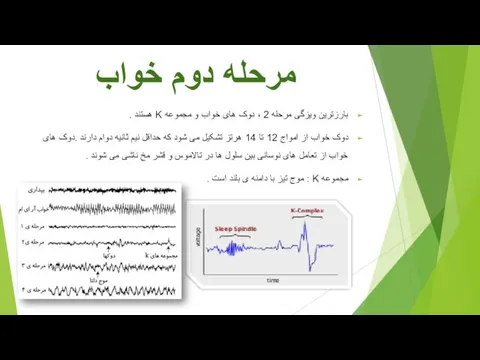 مرحله دوم خواب بارزترین ویزگی مرحله 2 ، دوک های خواب و