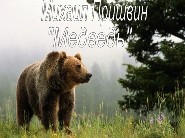 Михаил Пришвин "Медведь"