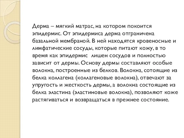 Дерма – мягкий матрас, на котором покоится эпидермис. От эпидермиса дерма отграничена