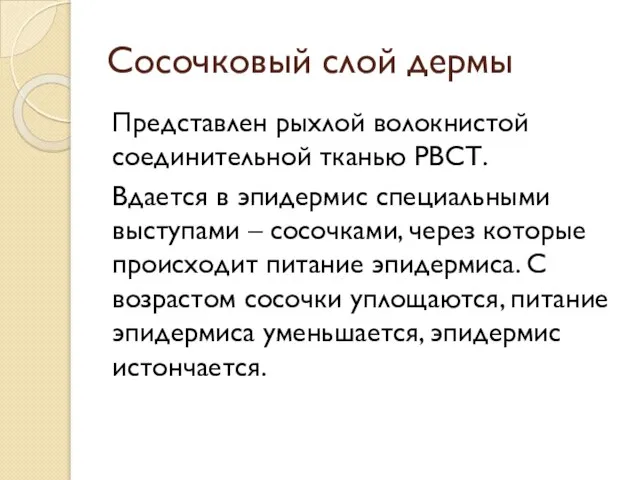 Сосочковый слой дермы Представлен рыхлой волокнистой соединительной тканью РВСТ. Вдается в эпидермис