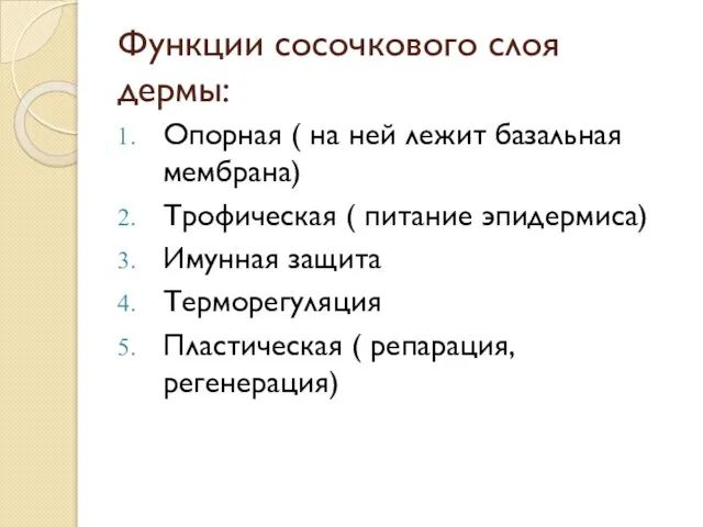 Функции сосочкового слоя дермы: Опорная ( на ней лежит базальная мембрана) Трофическая