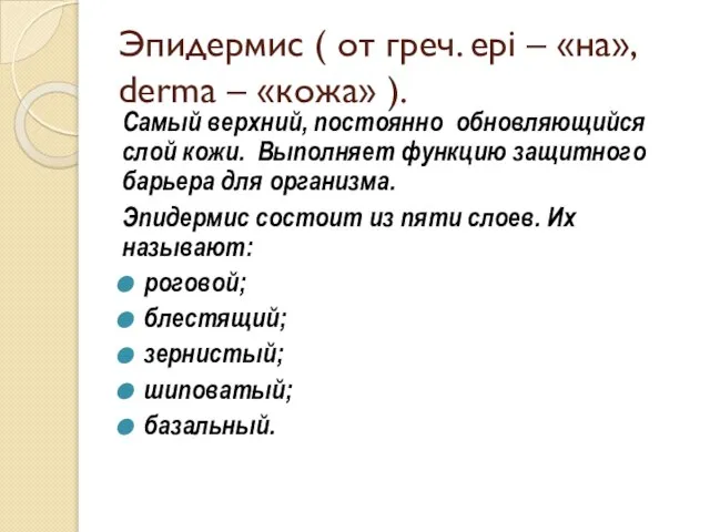 Эпидермис ( от греч. epi – «на», derma – «кожа» ). Самый