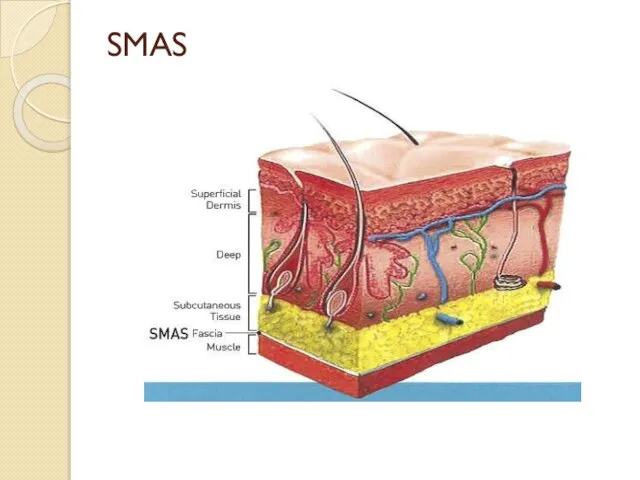 SMAS