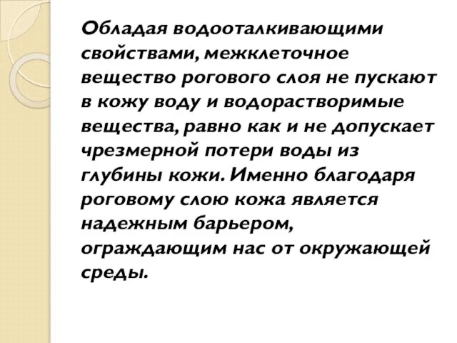 Обладая водооталкивающими свойствами, межклеточное вещество рогового слоя не пускают в кожу воду