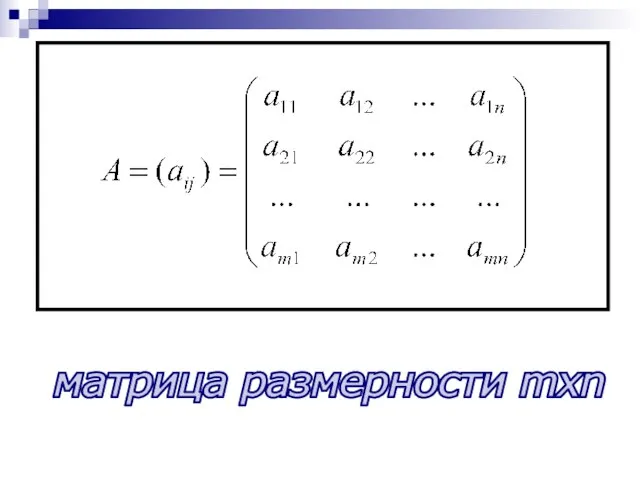 матрица размерности mxn