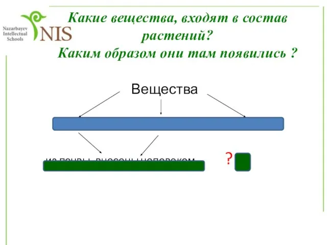 Какие вещества, входят в состав растений? Каким образом они там появились ?