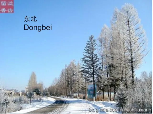 东北 Dongbei
