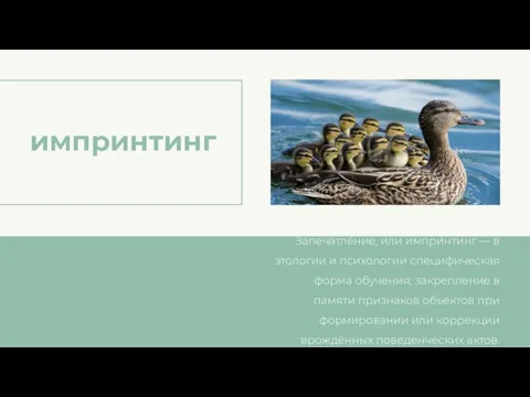 импринтинг Запечатле́ние, или импри́нтинг — в этологии и психологии специфическая форма обучения;