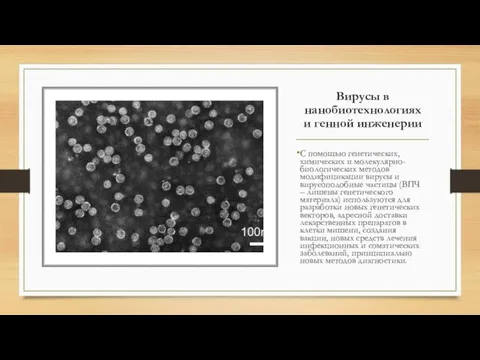 Вирусы в нанобиотехнологиях и генной инженерии С помощью генетических, химических и молекулярно-биологических