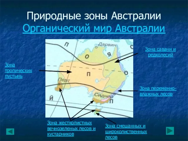 Природные зоны Австралии Органический мир Австралии Зона саванн и редколесий Зона тропических