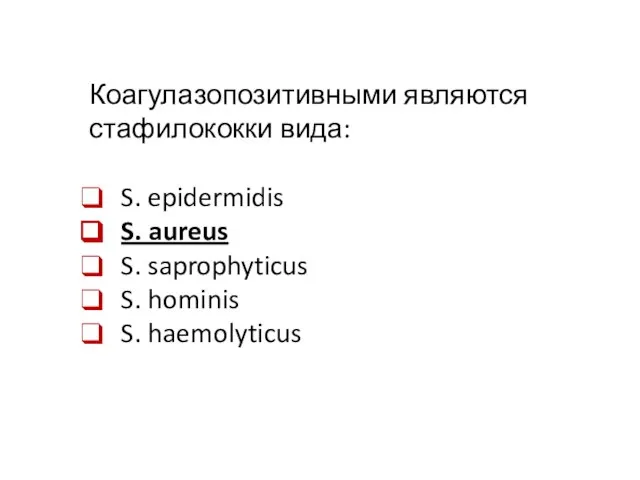 Коагулазопозитивными являются стафилококки вида: S. epidermidis S. aureus S. saprophyticus S. hominis S. haemolyticus