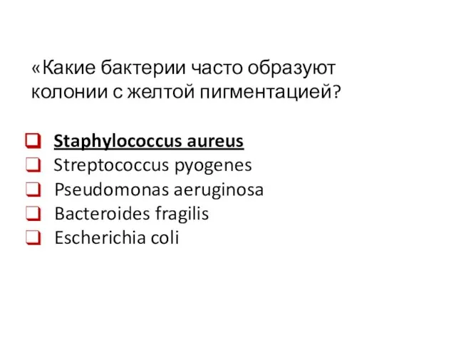 «Какие бактерии часто образуют колонии с желтой пигментацией? Staphylococcus aureus Streptococcus pyogenes