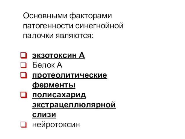 Основными факторами патогенности синегнойной палочки являются: экзотоксин А Белок А протеолитические ферменты полисахарид экстрацеллюлярной слизи нейротоксин